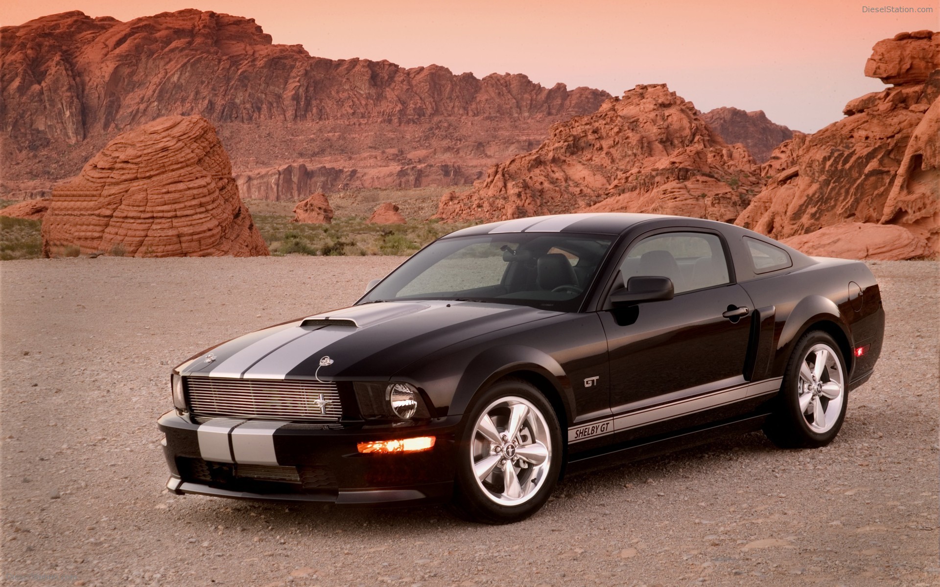 Ford Shelby GT